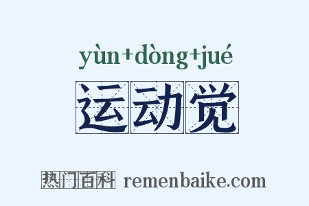 运动觉是什么意思的图片